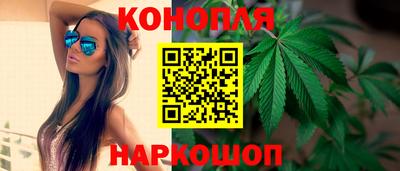 амф Кингисепп