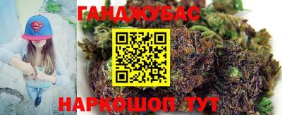 амф Кингисепп
