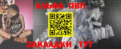 амф Кингисепп
