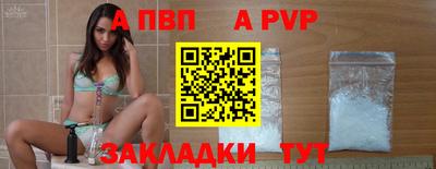 амф Кингисепп