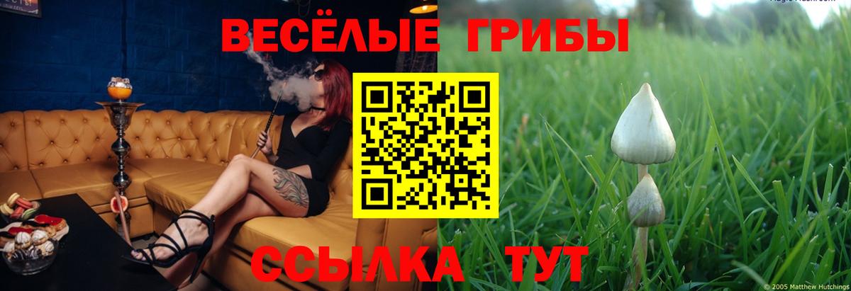 Галлюциногенные грибы прущие грибы Когалым