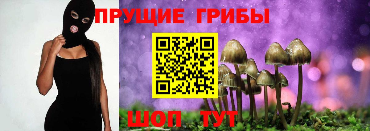 Когалым  Галлюциногенные грибы мицелий  Вход с VPN 